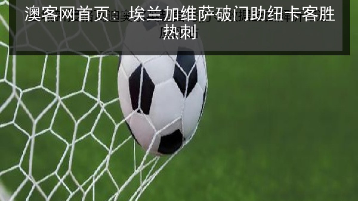 澳客网首页: 埃兰加维萨破门助纽卡客胜热刺